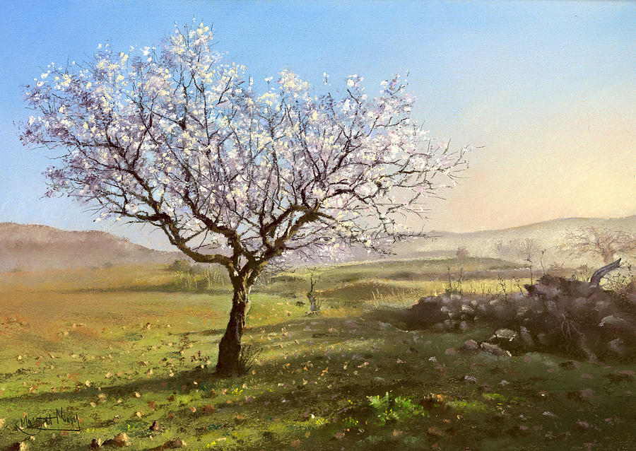 900x638 Almond Blossom Painting By Margaret Merry - Almond Blossom Painting