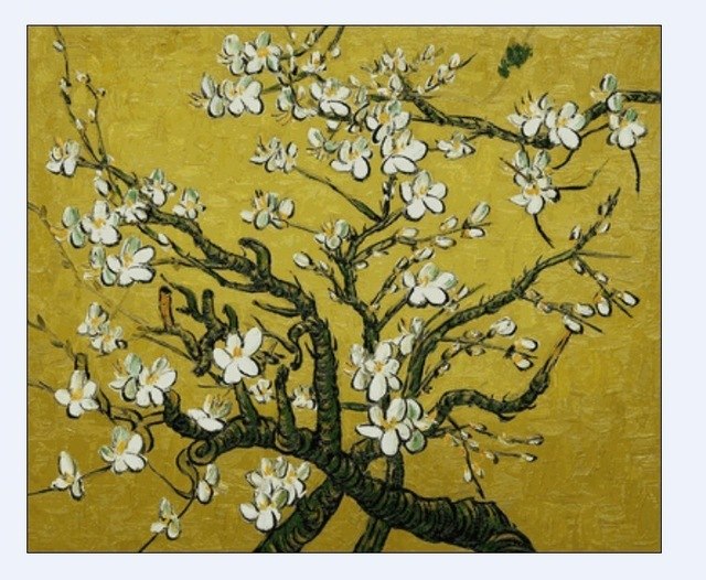 640x526 Handpainted Vincent Van Gogh Painting Branches Of An Almond Tree - Almond Tree Painting