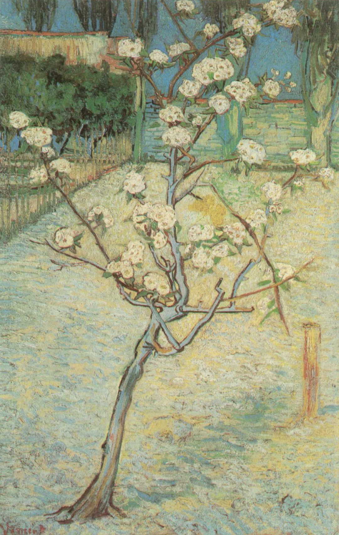 1080x1701 Van Gogh - Almond Tree Painting