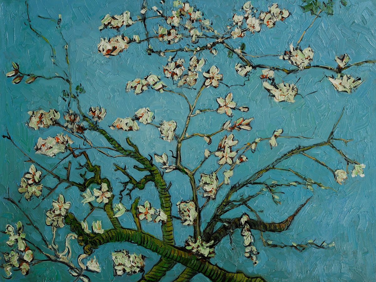 1200x900 Vincent Van Gogh, Branches Of An Almond Tree In Blossom - Almond Tree Painting
