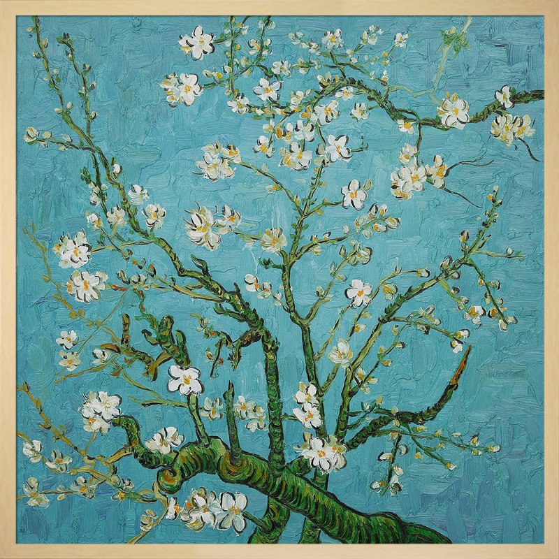 800x800 Wildon Home Branches Of An Almond Tree By Vincent Van Gogh - Almond Tree Painting