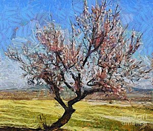 300x258 Almond Tree Paintings - Almond Tree Painting