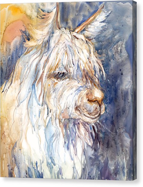 477x622 Alpaca Painting By Peggy Wilson - Alpaca Painting