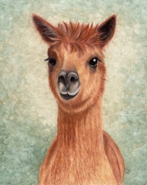 296x373 Alpaca Paintings - Alpaca Painting