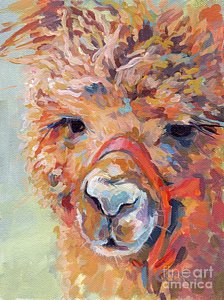 224x300 Alpaca Paintings Fine Art America - Alpaca Painting
