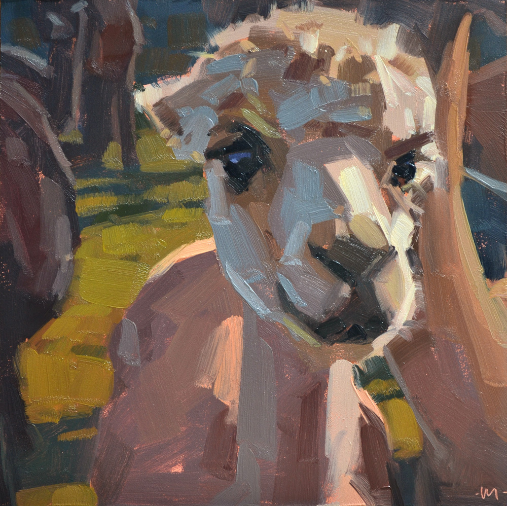 1000x998 Carol Marine's Painting A Day An Alpaca Afternoon - Alpaca Painting