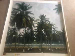 300x225 International Galleries Inc Pedro Diego Alvarado Rivera Palm - Alvarado Painting