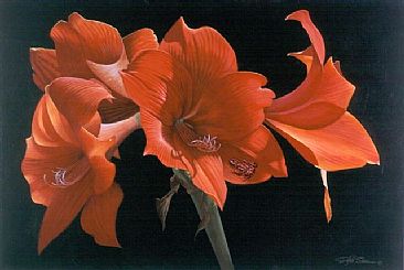 366x245 Poison Dart Frog On An Amaryllis - Amaryllis Painting