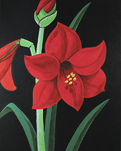 240x300 Social Artworking Amaryllis - Amaryllis Painting