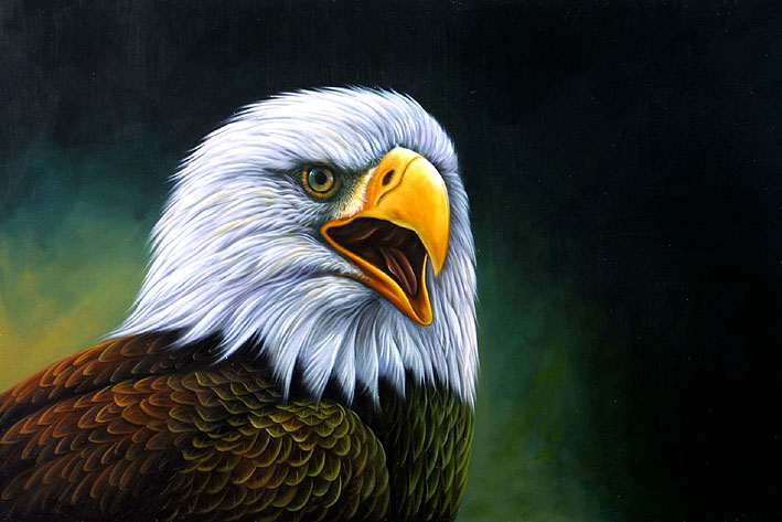 709x473 American Bald Eagle Portrait - American Bald Eagle Painting