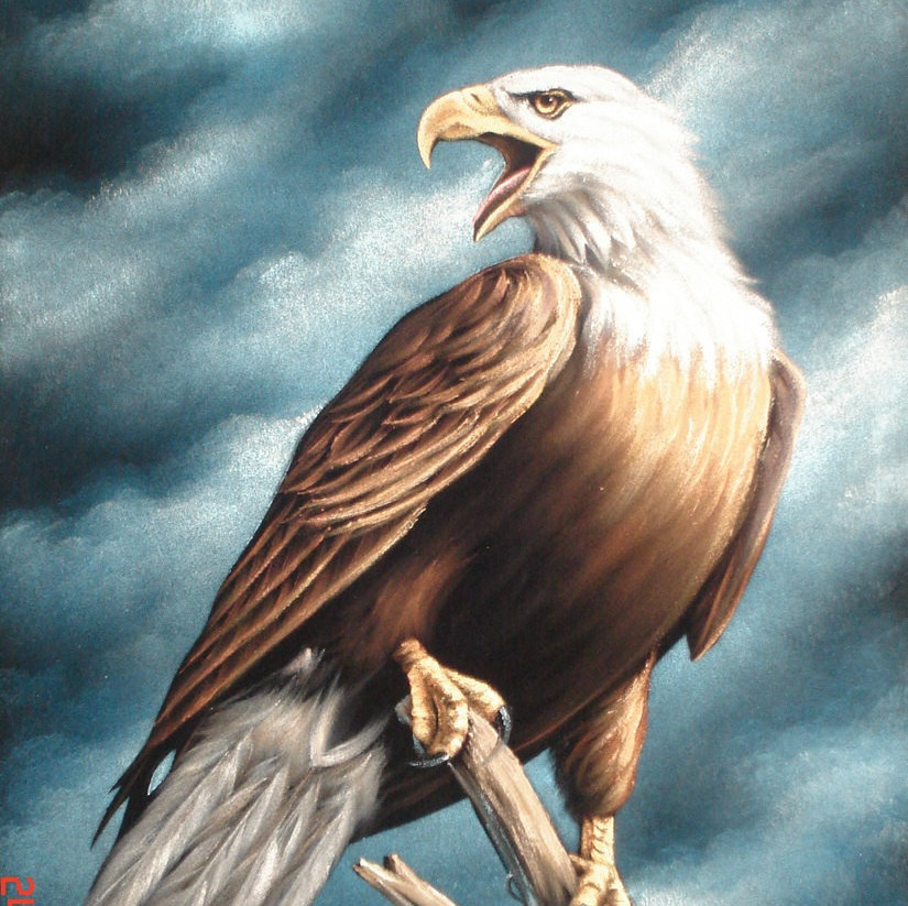 825x823 American Bald Eagle Landscape Black Velvet Oil Painting - American Bald Eagle Painting