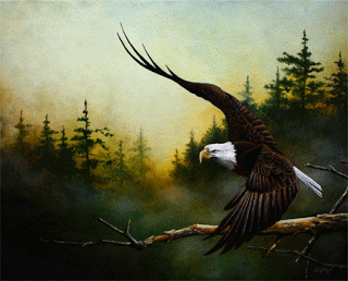 320x258 Broken Road Studio American Bald Eagle Painting Finished - American Bald Eagle Painting