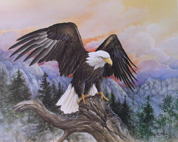 576x459 Eagle Art By Larry K. Martin - American Bald Eagle Painting