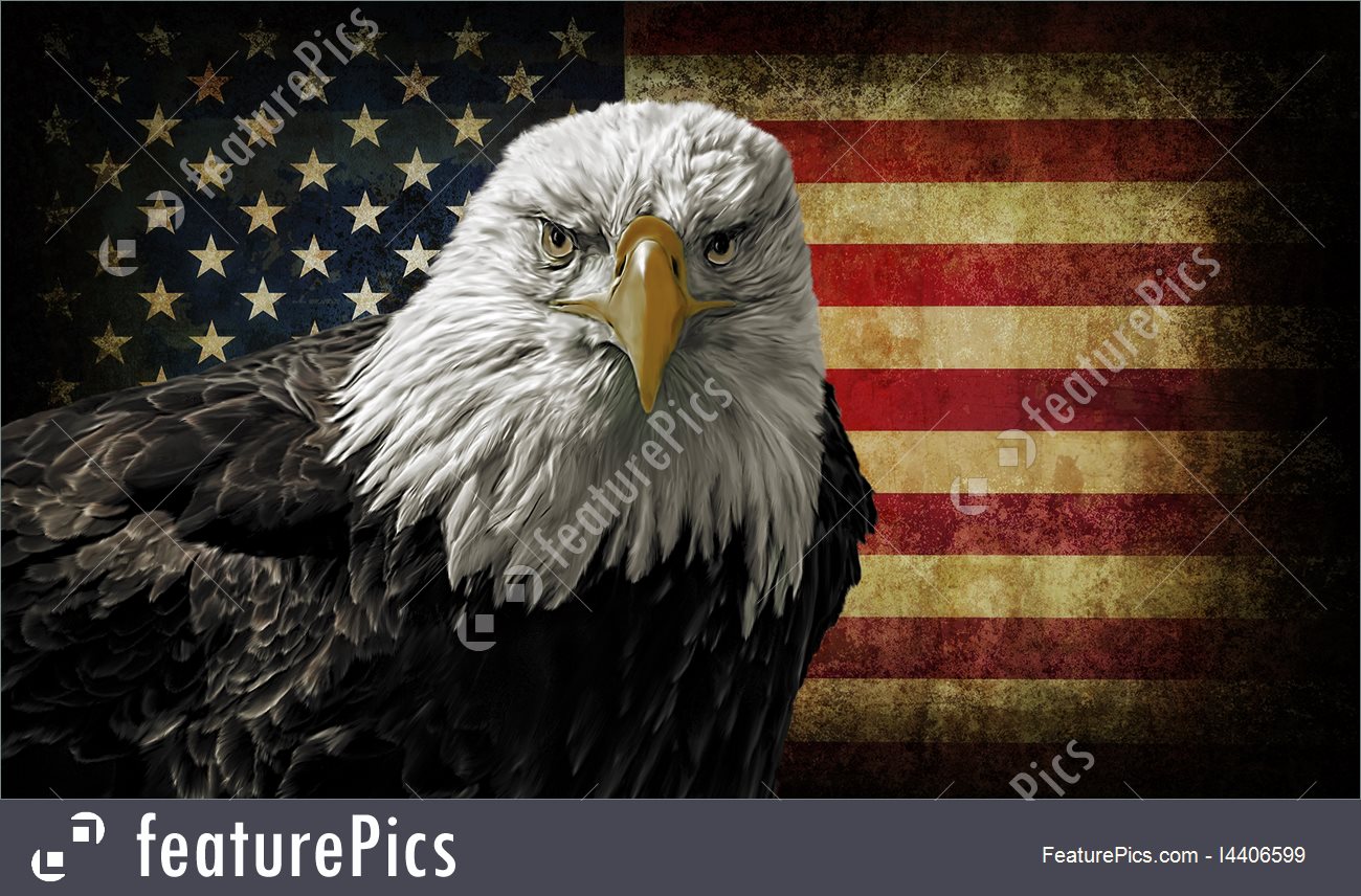 1300x856 Picture Of American Bald Eagle On Grunge Flag - American Bald Eagle Painting