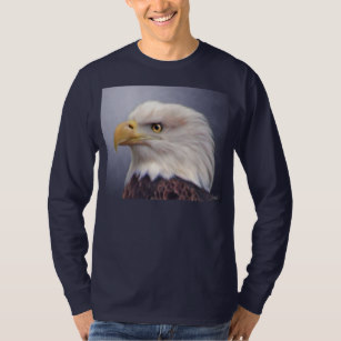 American Bald Eagle Painting at PaintingValley.com | Explore collection ...