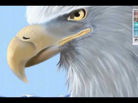 480x360 American Bald Eagle Painting By Tamerair (Fast Motion) - American Bald Eagle Painting