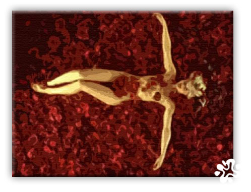 498x381 American Beauty Canvas - American Beauty Painting