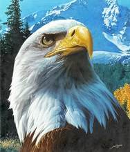188x220 Popular Bald Eagle Painting Buy Cheap Bald Eagle Painting Lots - American Eagle Painting