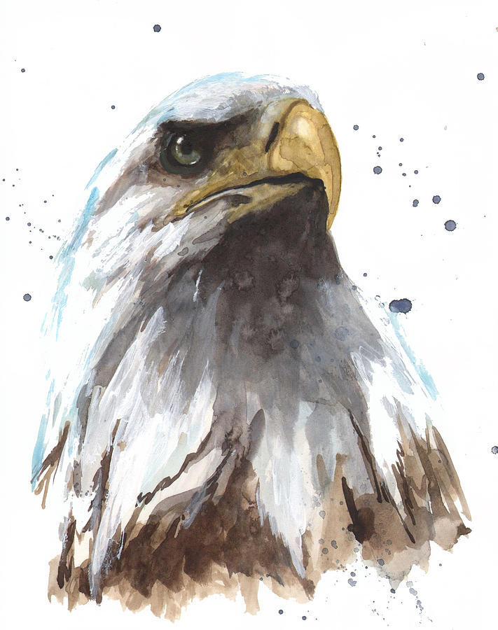 711x900 Watercolor Eagle Painting By Alison Fennell - American Eagle Painting