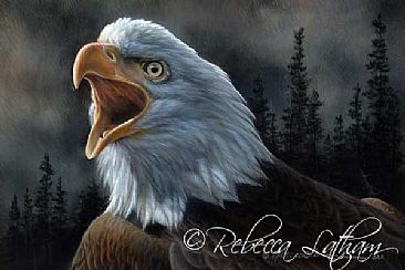 366x244 American Bald Eagle - American Eagle Painting