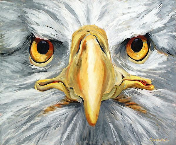600x495 American Eagle - American Eagle Painting
