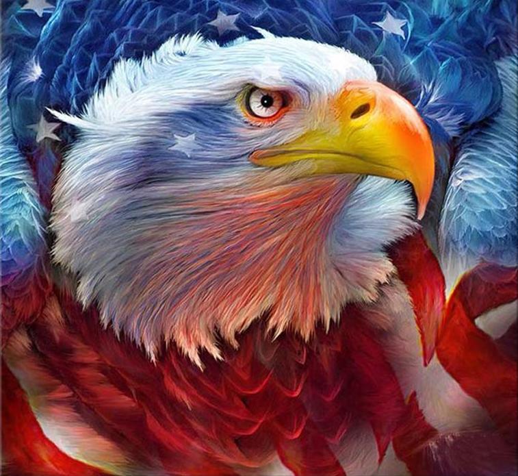 757x695 American Eagle 5d Square Diamond Painting Pretty Neat Creative - American Eagle Painting