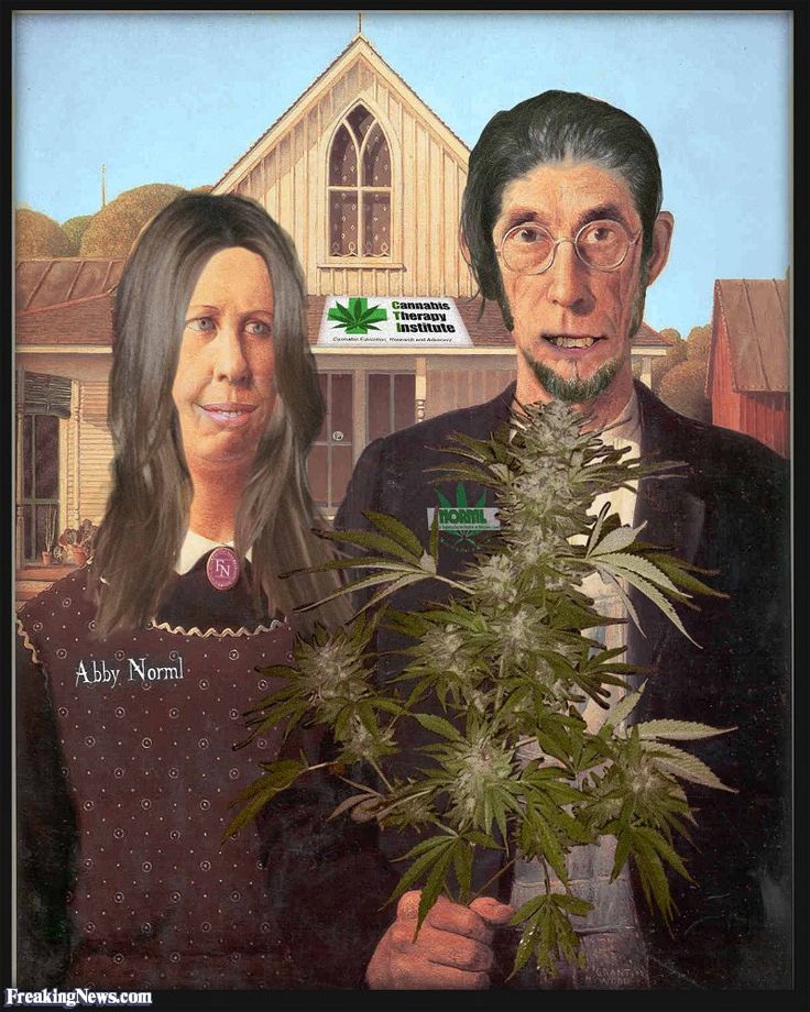 736x920 The 498 Best Art American Gothic Parodied Images - American Farmer Painting