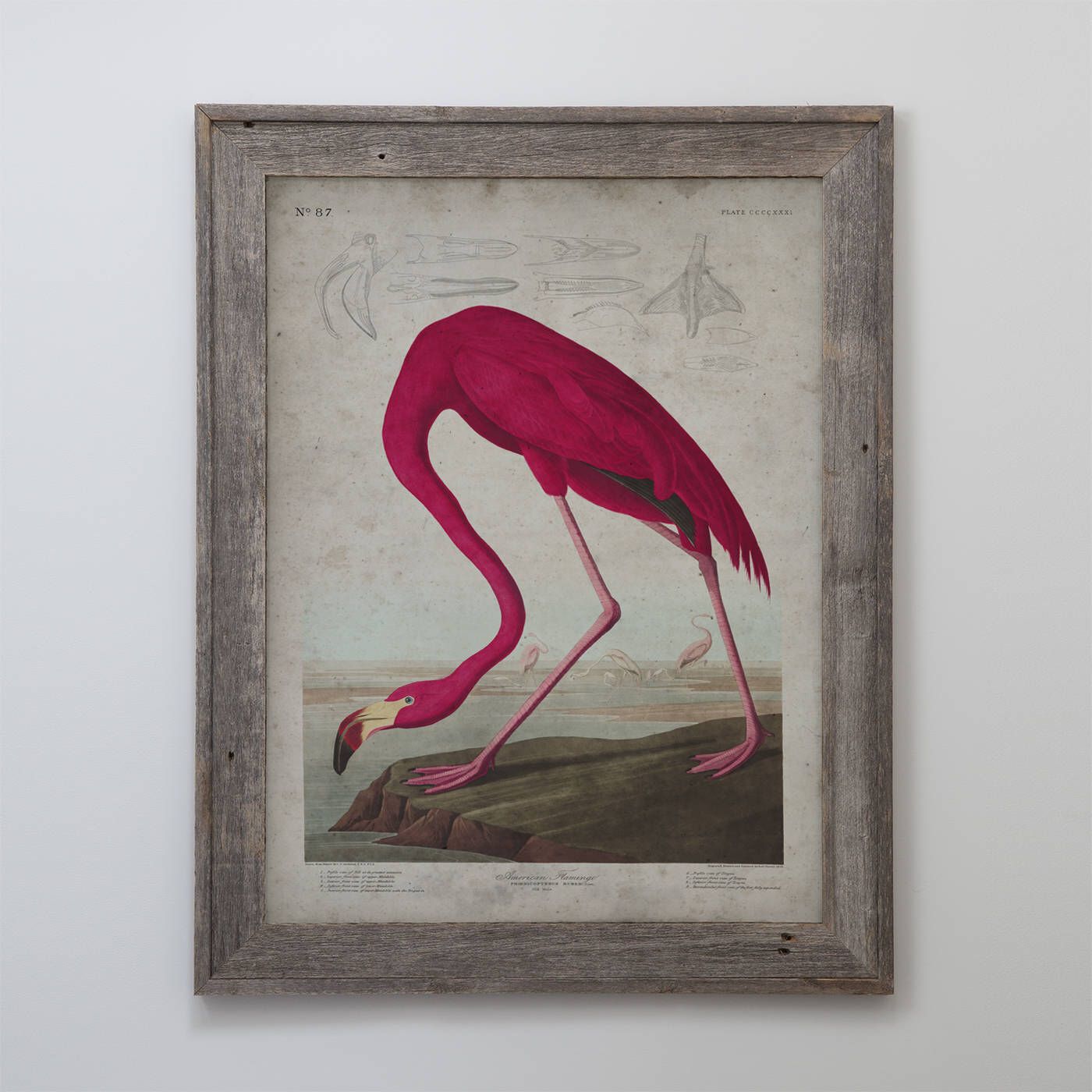 1400x1400 American Flamingo Reclaimed Barnwood Frame - American Flamingo Painting