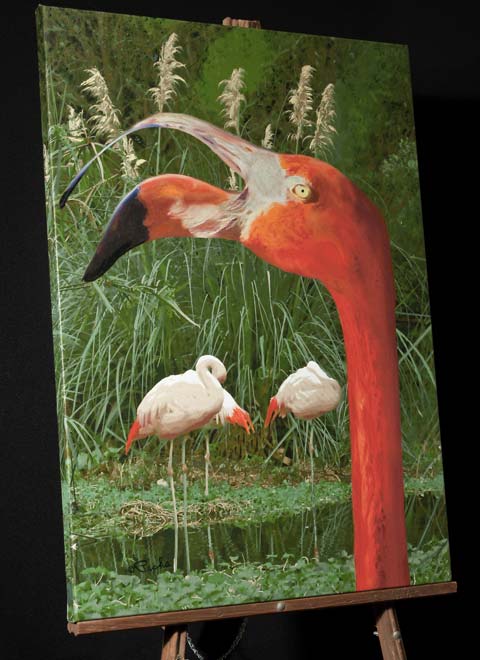 480x660 American Flamingo - American Flamingo Painting