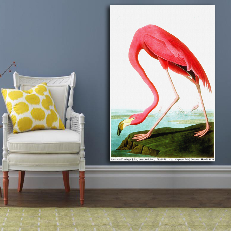 800x800 American Flamingo By John James Audubon Print Original Huge Poster - American Flamingo Painting