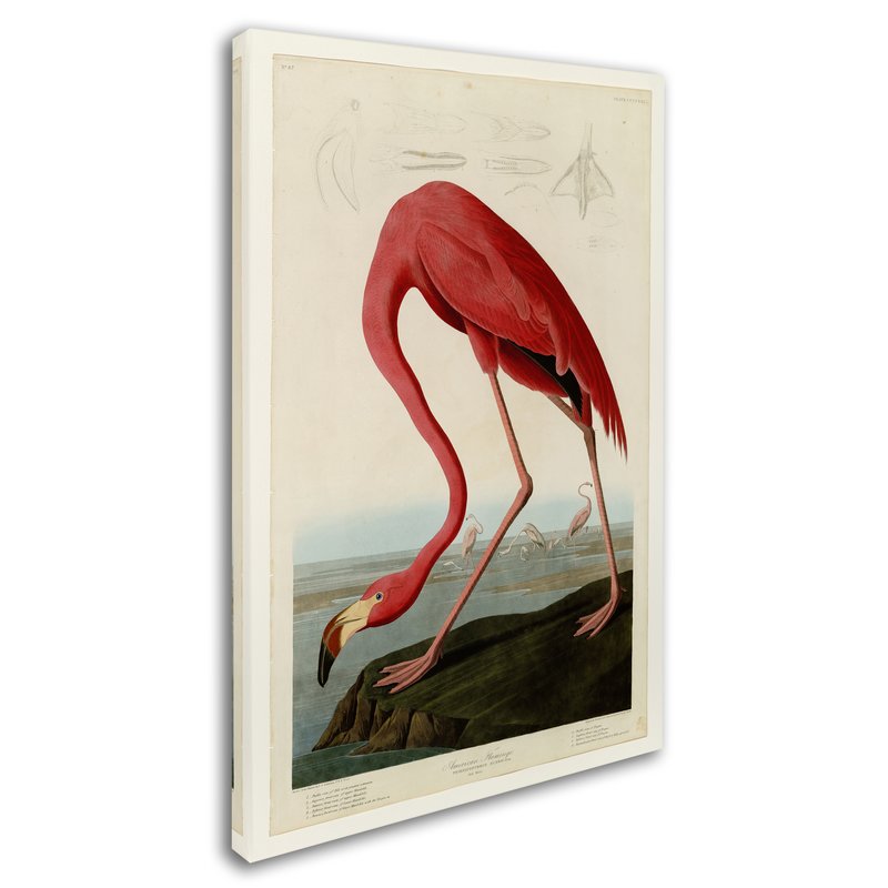 800x800 American Flamingo' Painting Print On Canvas Amp Reviews Joss Amp Main - American Flamingo Painting