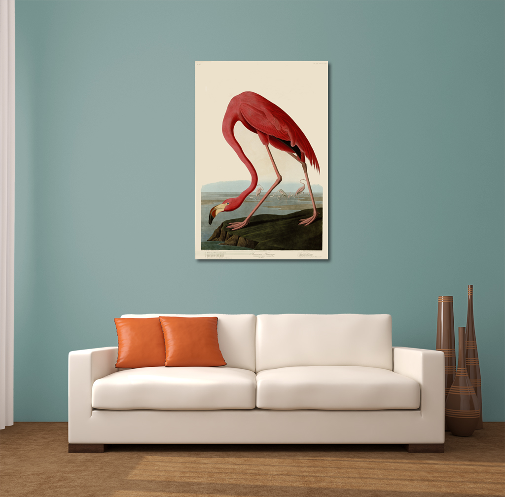 1024x1008 John Audubon American Flamingo Canvas Wall Art - American Flamingo Painting