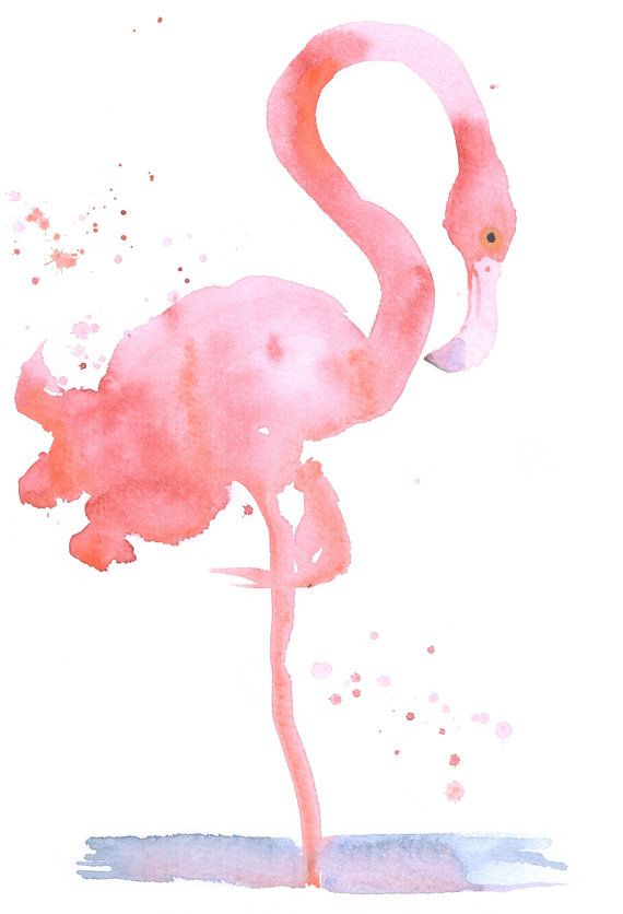 570x836 Pink Flamingo Wall Art,print, Home Decor, Pink Flamingo , Pink - American Flamingo Painting