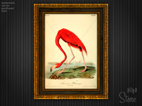 460x345 Second Life Marketplace - American Flamingo Painting