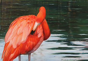 366x257 South American Flamingo - American Flamingo Painting