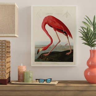 310x310 American Flamingo Wayfair - American Flamingo Painting