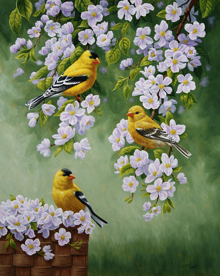 720x900 American Goldfinch Spring Painting By Crista Forest - American Goldfinch Painting