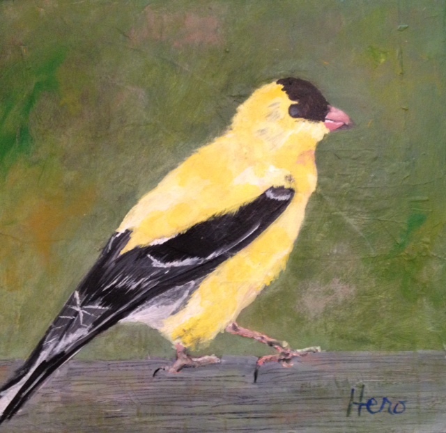 640x622 Artwork By Marcia Hero - American Goldfinch Painting