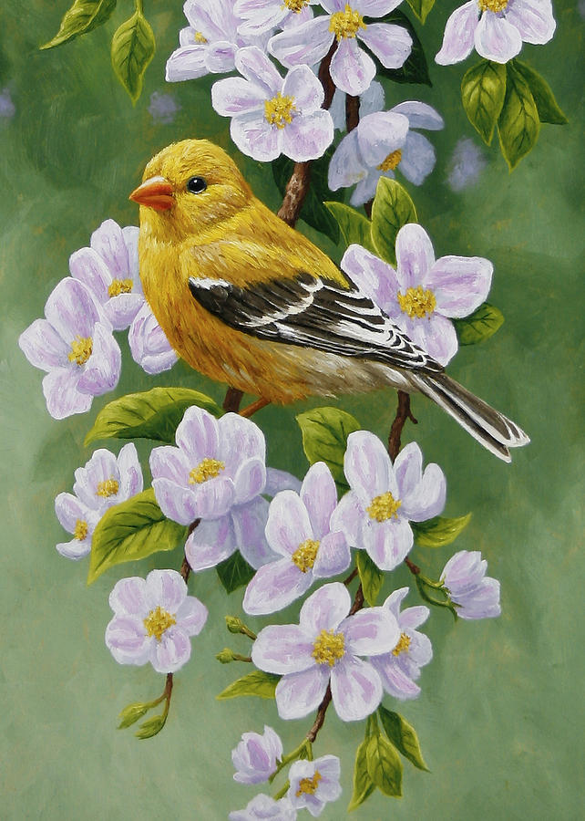 642x900 Goldfinch Blossoms Greeting Card 2 Painting By Crista Forest - American Goldfinch Painting