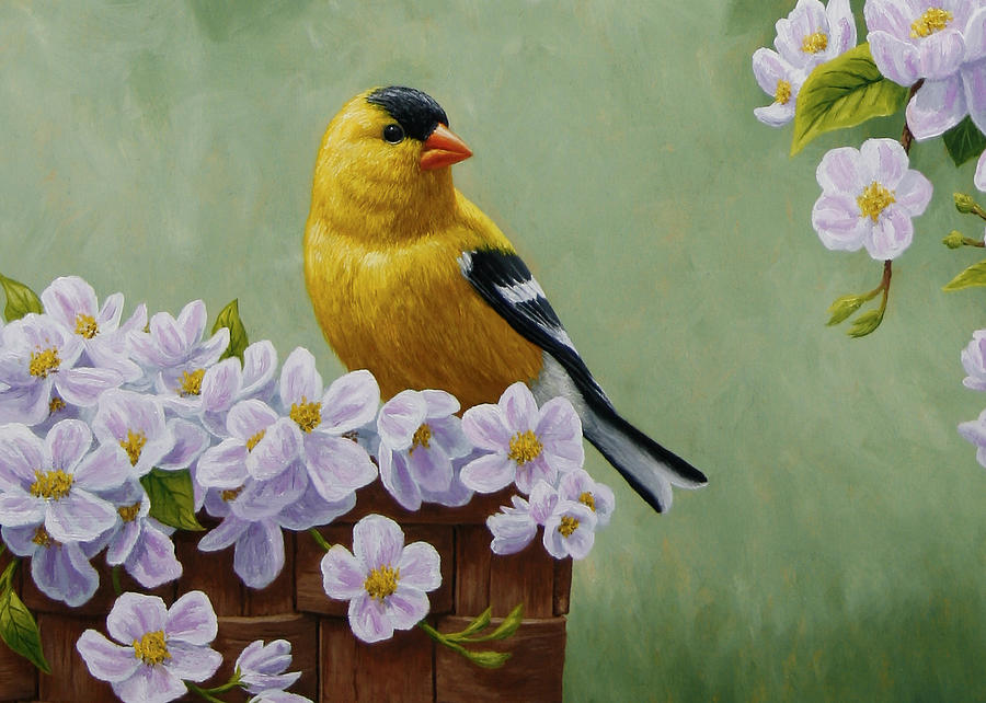 900x642 Goldfinch Blossoms Greeting Card 3 Painting By Crista Forest - American Goldfinch Painting