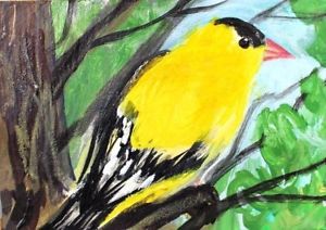 300x212 Original Aceo American Goldfinch Painting Backyard Bird Spring - American Goldfinch Painting