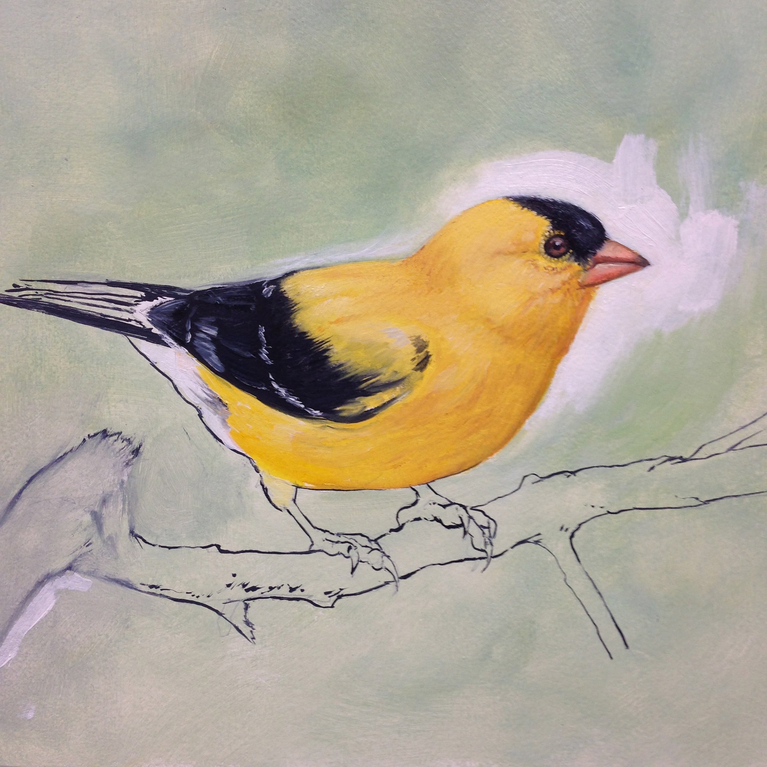 2448x2448 Goldfinch Painting - American Goldfinch Painting