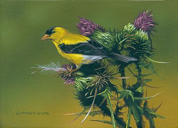 366x263 American Goldfinch - American Goldfinch Painting