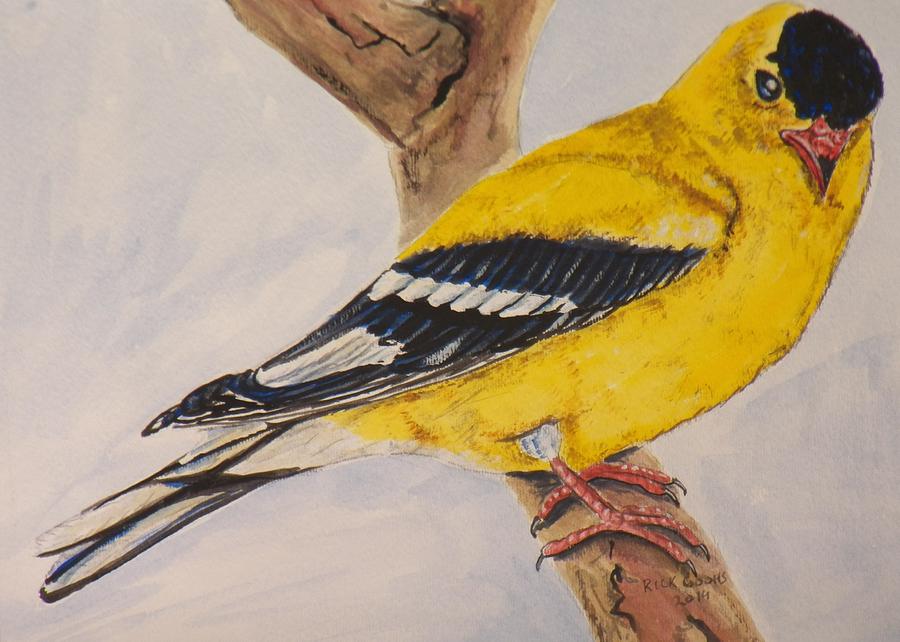 900x642 American Goldfinch Male Painting By Richard Goohs - American Goldfinch Painting