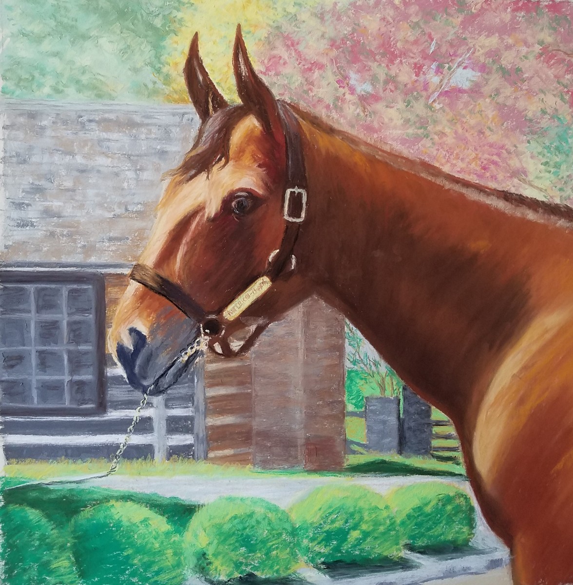 1176x1200 Animal Pastel Paintings American Pharoah Posing By Brenda Heifner - American Pharoah Painting