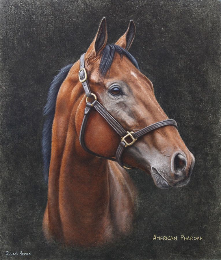 765x900 American Pharoah Painting Proyectos A Intentar - American Pharoah Painting