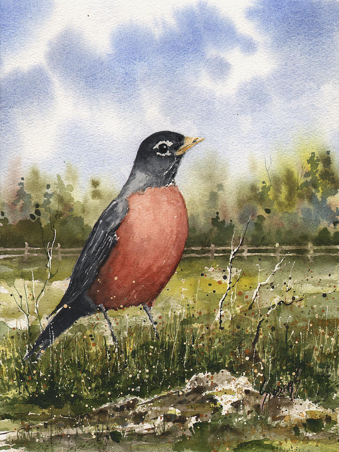 675x900 American Robin Painting By Sam Sidders - American Robin Painting