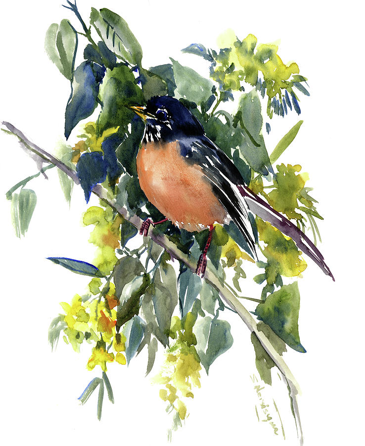 738x900 American Robin Painting By Suren Nersisyan - American Robin Painting