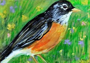 300x211 Original Aceo American Robin Painting Backyard Birds Spring - American Robin Painting