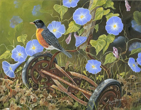 480x376 American Robin Fine Art Print By Carol Decker - American Robin Painting